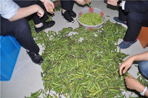 1562390624194618.jpg 146287054445.jpg